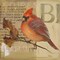 Red Love Birds I Poster Print by Patricia Pinto - Item # VARPDX7898